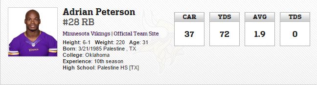 Adrian Peterson 2016 stats profile